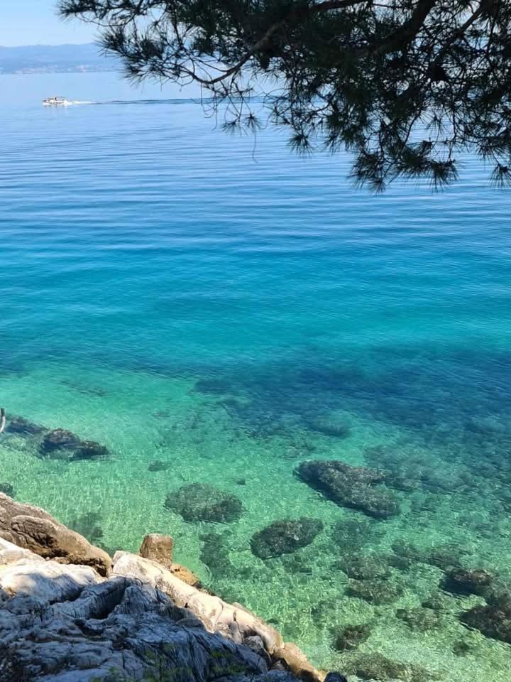 Apartments Blue & Green Mošćenička Draga المظهر الخارجي الصورة