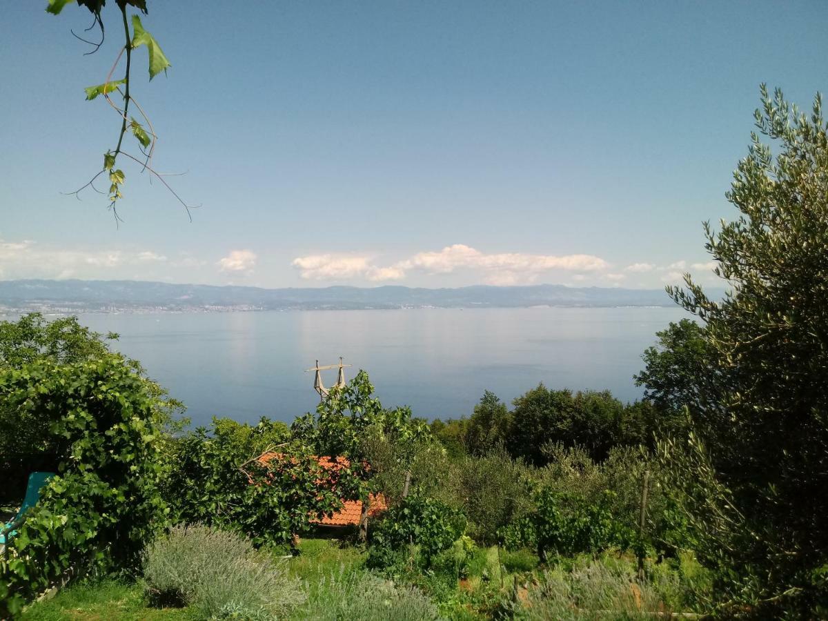 Apartments Blue & Green Mošćenička Draga المظهر الخارجي الصورة